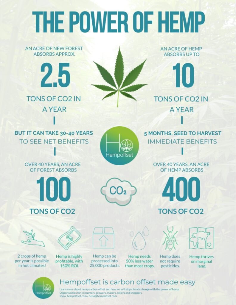 Why 2024 is the year of hemp - Top 5 reasons - Hempoffset